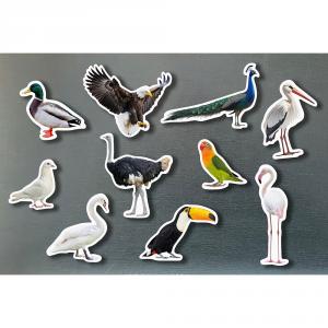 Set aves magnéticas 10 piezas
