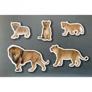 Set familia de leones magnética 5 piezas