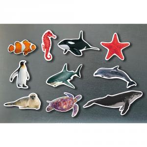 Set animales marinos magnéticos 10 piezas