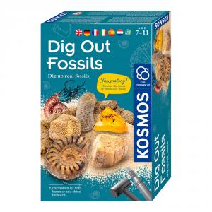 Set de excavación fósiles Dig out fossils