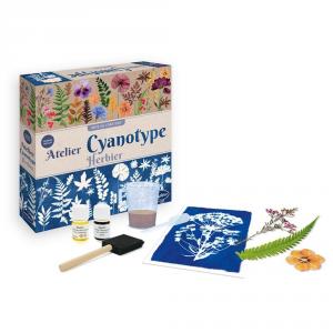 Taller de cianotipia herbario