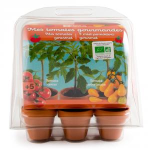 Kit de cultivo 6 mini macetas tomates bio.