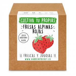 Kit siembra brotes pocket fresas alpinas rojas