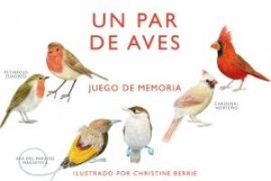 Un par de aves. Un juego de memoria