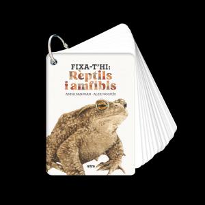 Fixa-t hi: rèptils i amfibis