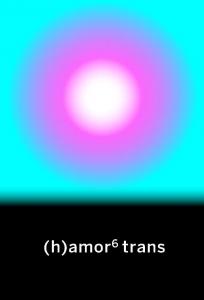 (h)amor 6 trans