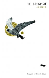 The Peregrine