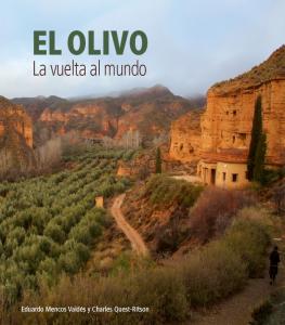 Olivo