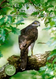 El Verano del Azor