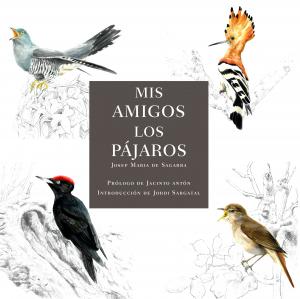 Mis amigos los pájaros