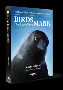 Birds That Leave Their Mark