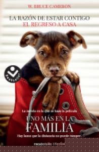 La razón de estar contigo. El regreso a casa 1 - El regreso a casa