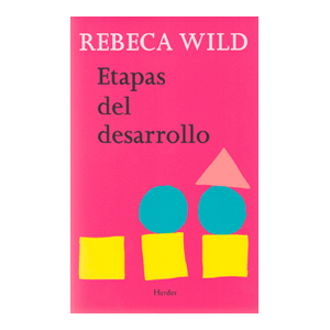 Etapas del desarrollo