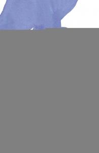 ElPluSmisterioPluSdelPluScolegioPluSembrujado