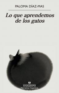 Lo que aprendemos de los gatos