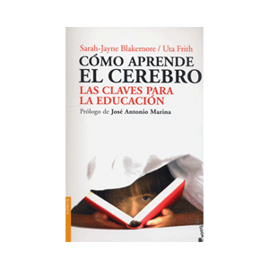 Cómo aprende el cerebro