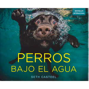PERROS BAJO EL AGUA