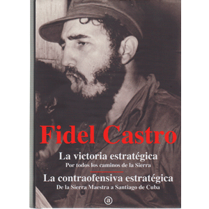 La victoria estratégica. La contraofensiva estratégica
