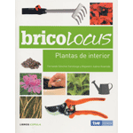 Bricolocus. Plantas de interior