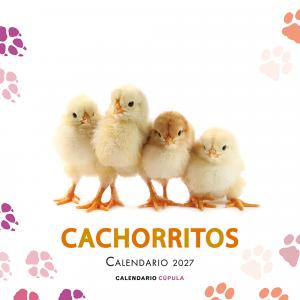 Calendario Cachorritos 2027