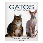 GATOS CÓMO SON
