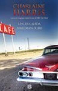 Encrucijada a medianoche (Midnight, Texas 1)