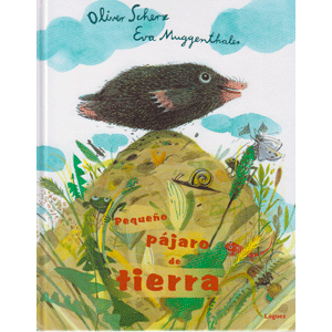 Pequeño pájaro de tierra