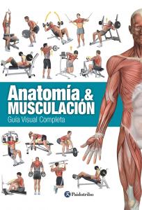 ANATOMÍA & MUSCULACIÓN