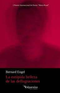 La estúpida belleza de las deflagraciones