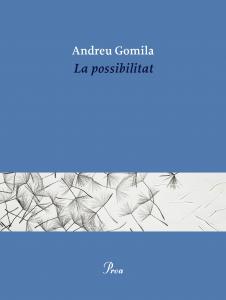 La possibilitat