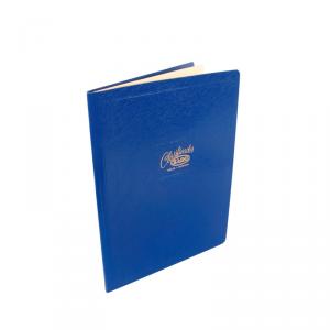 Carpeta clasificadora azul