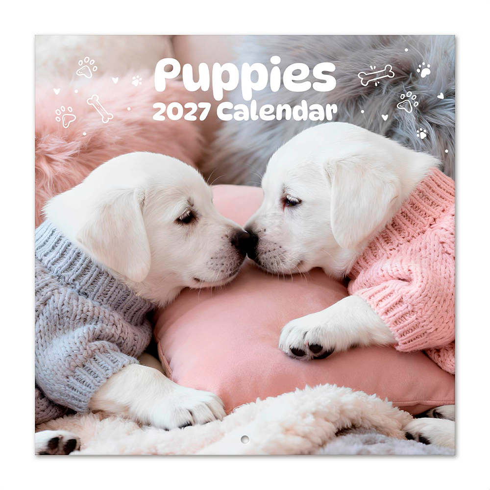 Calendario 2027 30x30cm Perritos