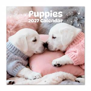 Calendario 2027 30x30cm Perritos