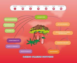 Emergencias 112 (Nivel 2). Explora·Infantil.2ºCurso